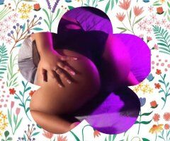 Panama City escorts -  Here for one night — QV 120 — outcalls only (Panama City, FL)