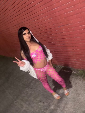 Stockton CA Elite Exotic Latina Companion — Mouthwatering, Wet & Ready - 1