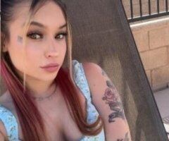 Sammie (28) — Bakersfield Fun-Size Ball of Fun - Image 2