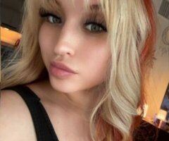 Sammie (28) — Bakersfield Fun-Size Ball of Fun - Image 3