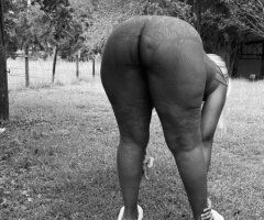 HinesVille InCalls — clean hygiene, discreet pleasure specialty - Image 11