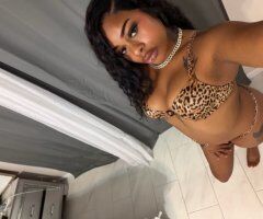 Daytona Beach HHR Outcall (Upscale) — Photos, 24/7 Special Top Ups - Image 5