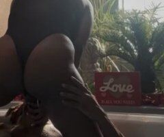Detroit escorts - Detroit In-Calls & Car Dates — Heavy Squirter Head Specialist