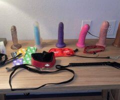Albany escorts - Albany Female Escort — full service, nude & regular lap dances