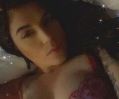 North Bay CA Female Escort — 25-Year-Old Spanish & White Mix - Image 6