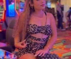 San Jose Latina Mixed Snowbunny Escort (Incalls) — Marissa - Image 7