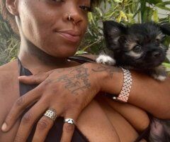 Beaumont escorts - Beaumont TX Female Escort — discreet, straightforward