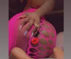 San Fernando Valley escorts - SueCat In-Call + BBBJ, Deep Throat, Pornstar Style (San Fernando Valley)