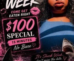 New Orleans CarPlay appointments — Shark Week special (15 min) - Image 7
