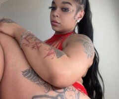 Memphis escorts - Upscale beauty escort in Memphis, TN (no pimps, no anal, no bare)