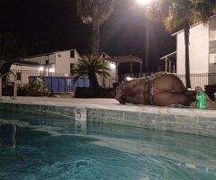 Baton Rouge Female Escort — Outcalls & Incalls, Facetime Verification - Image 6