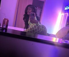 Milwaukee Princess Wet Pussy, Short-Time Outcalls/Incalls — No Bare - Image 3