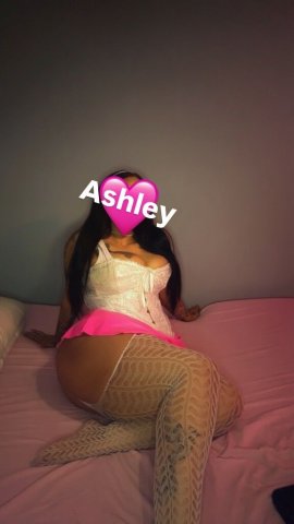 Brooklyn Incalls — 100% Female Shower Fresh, No BBJ - 1