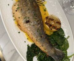 Plus-One Companion for Pool, Gym, Brunch & Fine Dining in Lawton, OK - Image 7