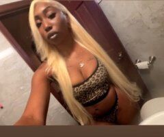 Miami Female Escort — Incall & Outcall (Video Verified) - Image 6