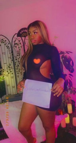 Jasmine — Springfield Female Escort (Nonnegotiable $300/HR-$400, Caribbean) - 1