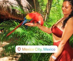 Seattle Pink Sweet Escape — Curvy Afro-Latina Private Companion - Image 3