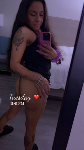 Greenville Exotic Splasher — FaceTime Shows + 2 Girl Specials - 1