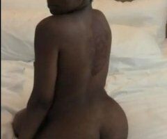 Pittsburgh escorts - Pittsburgh New Face Female Escort — Call Me (21)