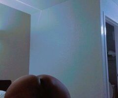 Savannah Female Escort — Head Only Special (Condom or Without) - Image 6