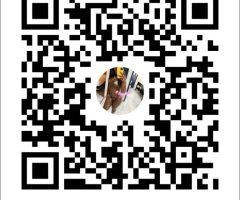 Discreet Chocolate Escort in Killeen — Out Calls & Massage Services - Image 3