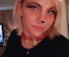Tampa escorts - Tampa Female Escort — Outcall only (no incall) near Walsingham & Indian Rocks Rd Largo