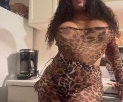Sarasota/Bradenton Incalls & Outcalls — 29 BBJ, Rim Job, Nuru Massage + VIP - Image 3