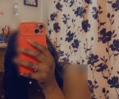 Sweetie—27 Petite Treat Available Today (Little Rock, AR) - Image 4