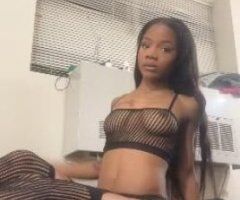 Brooklyn Brazilian Brazilian Escort — In-Call & Out-Calls Only - Image 2