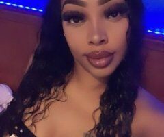 San Jose Female Escort — car dates & outcalls in the San Jose area - Image 3