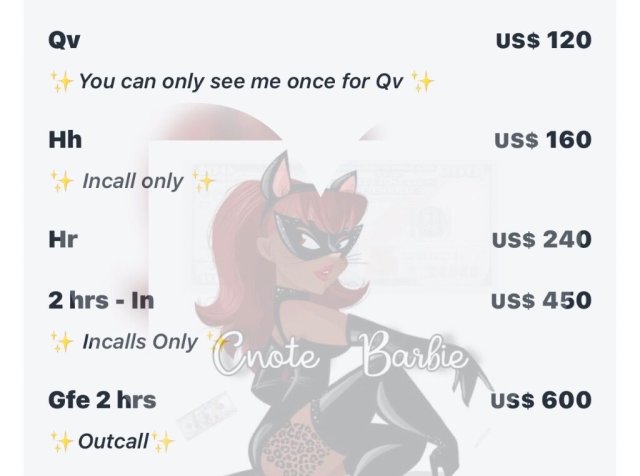 Barbie (Rochester) — Incalls & Outcalls - 1
