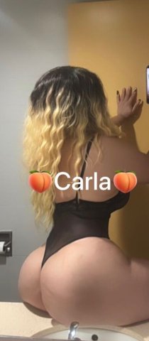 Hudson Valley Latina Escort — In-call BJ 69 (Real Photos) - 1