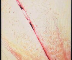 Sacramento Female Escort — Oral & Quick Incall Session (30 Min or 1 Hour) - Image 2
