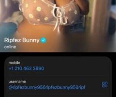 Mcallen TX Female Escort — incall, outcall, carplay cardate - Image 6