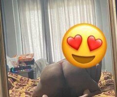 Houston escorts - Houston Female Escort — In/Outcalls with BBJ and QV (deposit required)