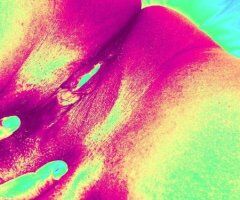 Detroit escorts - Detroit Female Escort — Outcalls Only, Hotel or Private Residence