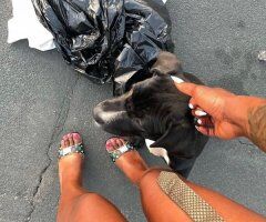 Marcie Moon — Minneapolis/St. Paul BBJ, no incalls (Uber ok) - Image 3