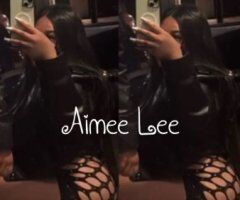 Aimee Lee — Busty Southeast Asian Escort (San Francisco) - Image 2