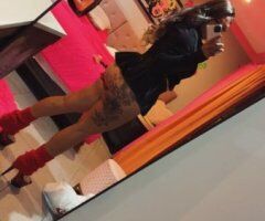 Panndaa — 4'11 Shorty Female Escort (Incalls, Outcalls, Content & FT Shows) — Orange County - Image 4