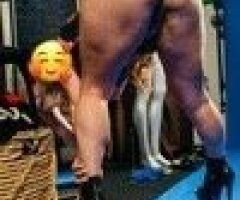 San Mateo Fun Dates & Car Dates — Camel Rides and Wet Slides - Image 7