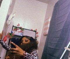 Milwaukee WI Female Escort — Soft Kitty Special (No Anal) - Image 2