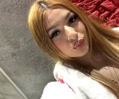 Sacramento Female Escort — Incalls & Outcalls (Car Dates) - Image 3