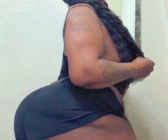 Tampa escorts - Tampa Female Companion — oral and other timeframes available