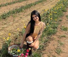 Reno Cuban Treat — longer-arrangement escort - Image 3