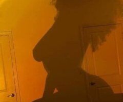 Brockton escorts - Brockton MA Female Escort — outcalls only, host required