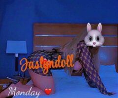 Corpus Christi escorts - Corpus Christi Female Escort — FS Video Verification, In-Call Only (11AM–10PM)