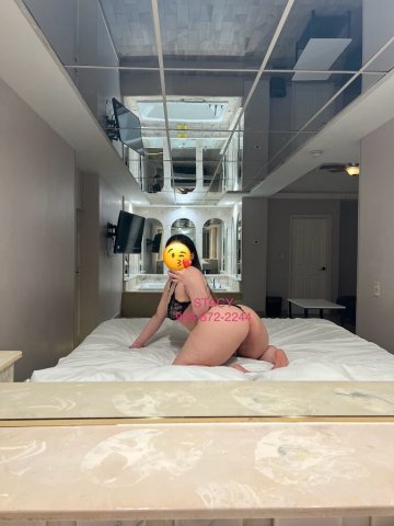 Stacy (White & Colombian) — Fun Size Soft Body + Super Soaker White Bunny - 1