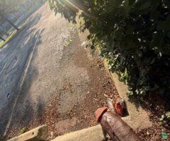 Wilmington escorts - Horse Dixk Top 🍆💦
