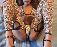 Los Angeles escorts - Los Angeles Outcalls & Cardates (22) — Petite Brown Beauty