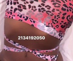 Miami escorts - Miami Female Escort — Facetime Show Special, Amazing Head & Wet Tight Grip
